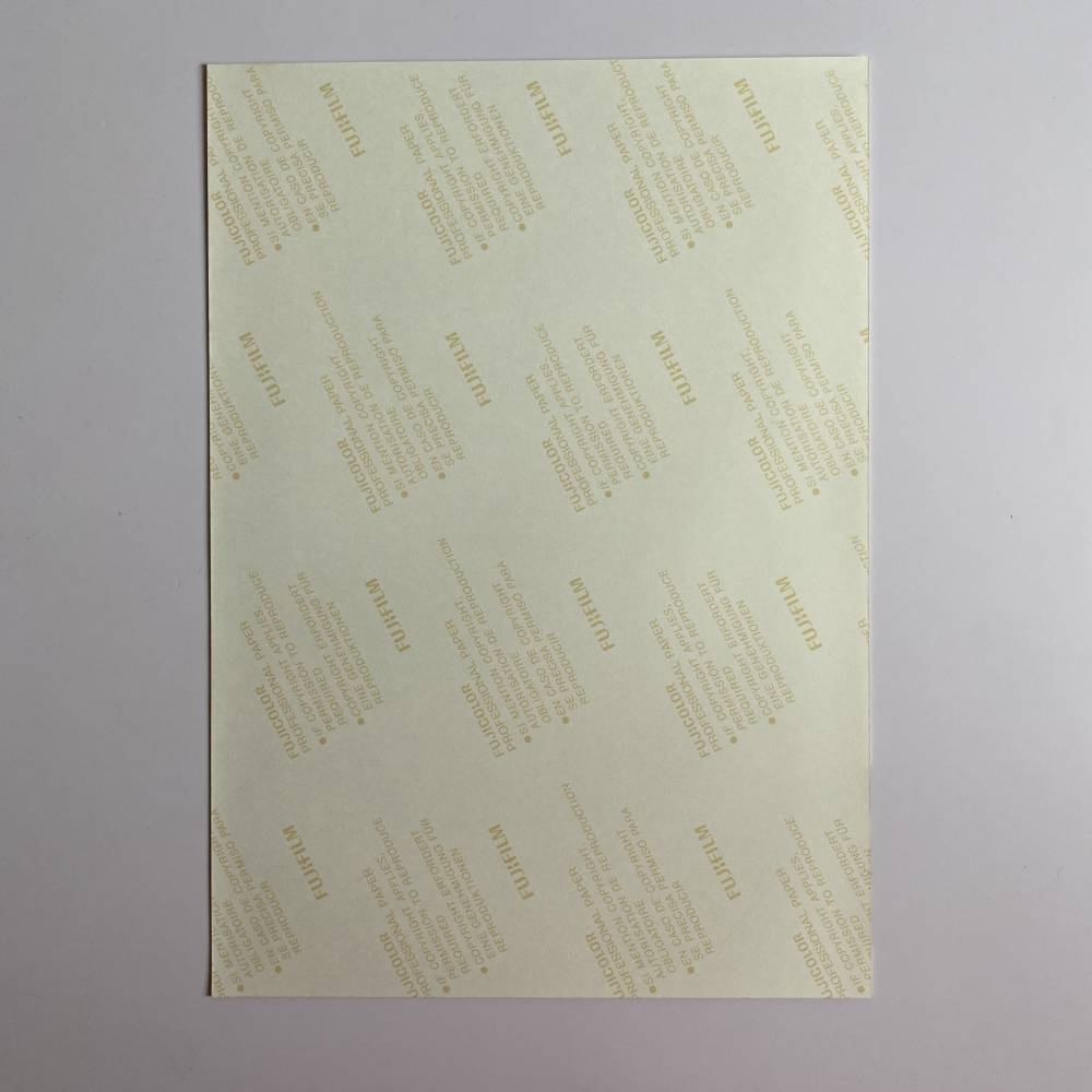 SEVENTEEN 'BOYS WISH - LIKE' ENCORE CONCERT OFFICIAL PRINTED PHOTO